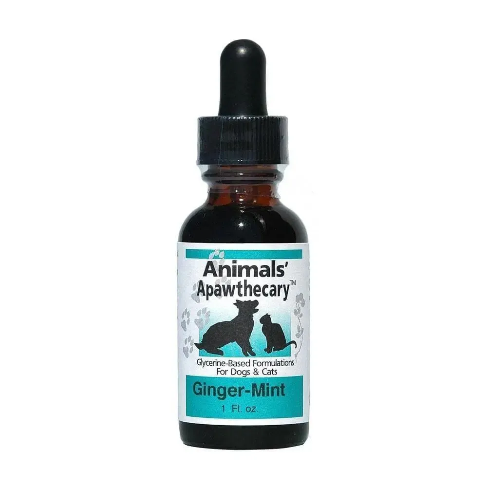 Animal Essentials® Ginger/Mint Daily Digestion for Cat & Dog 1 Oz