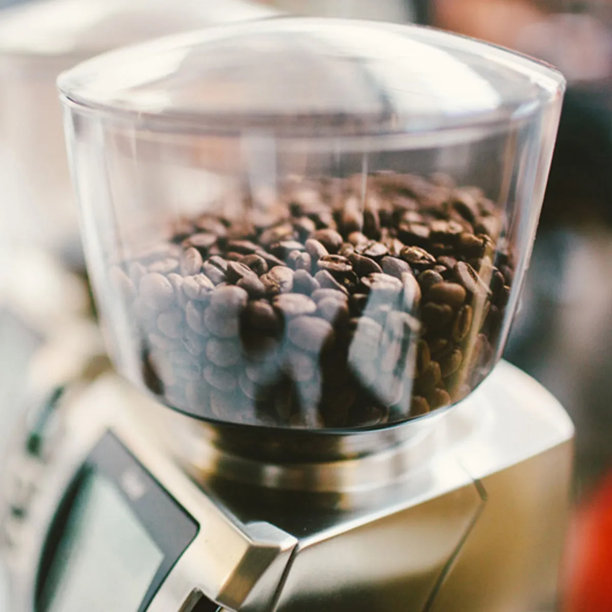 Baratza Forte-BG Flat Steel Burr Grinder #1086-120V