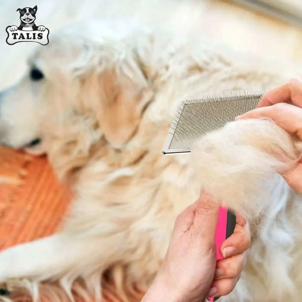 Brush Pet Slicker Grooming Dog Cat Hair Shedding Comb Self Cleaning Fur Tool