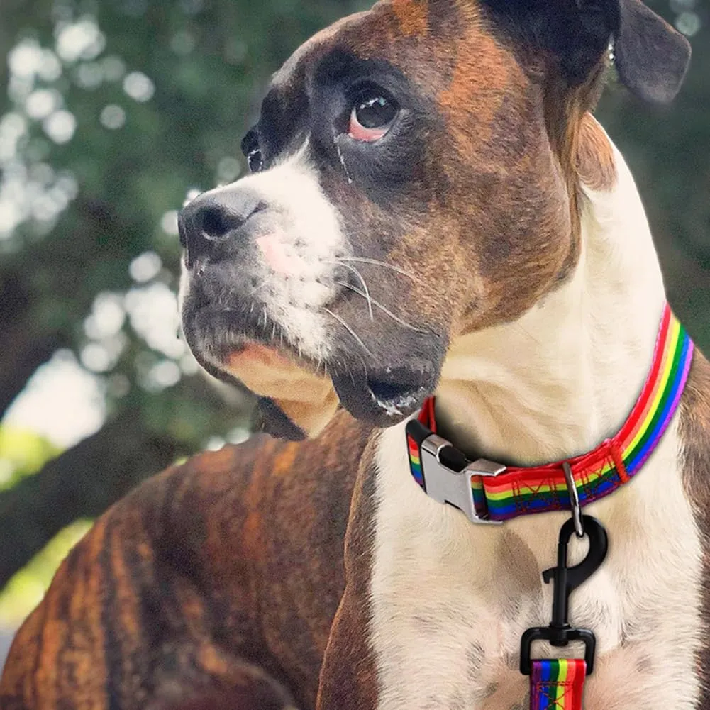 Dog Collar and Leash Set with Safety Locking Metal Buckle, Soft Quick Release Dog Collars Adjustable for Small Medium Large Dogs and Kitten Cats