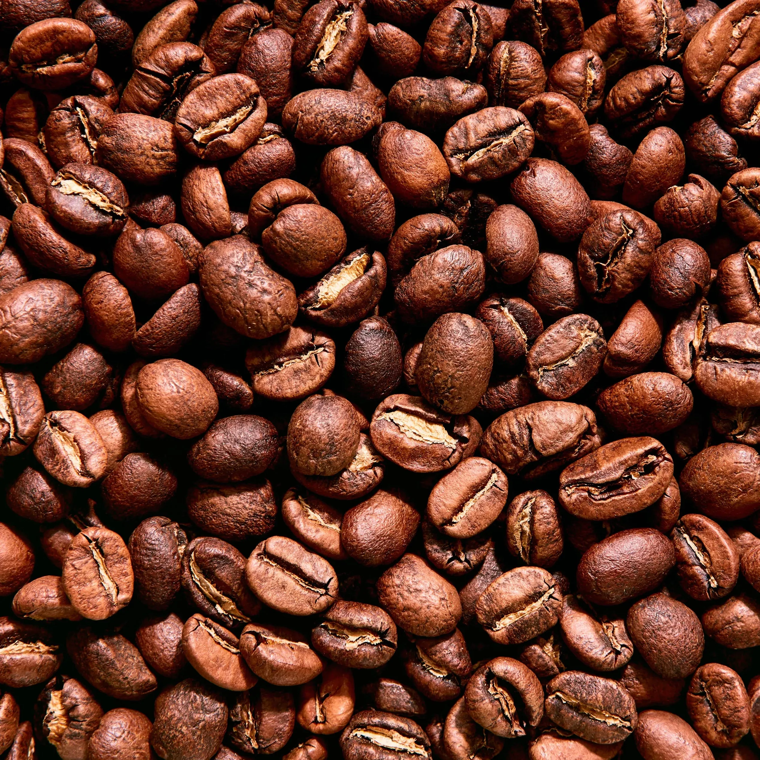 Grinder Seasoning Beans Australia - 1 Kilo