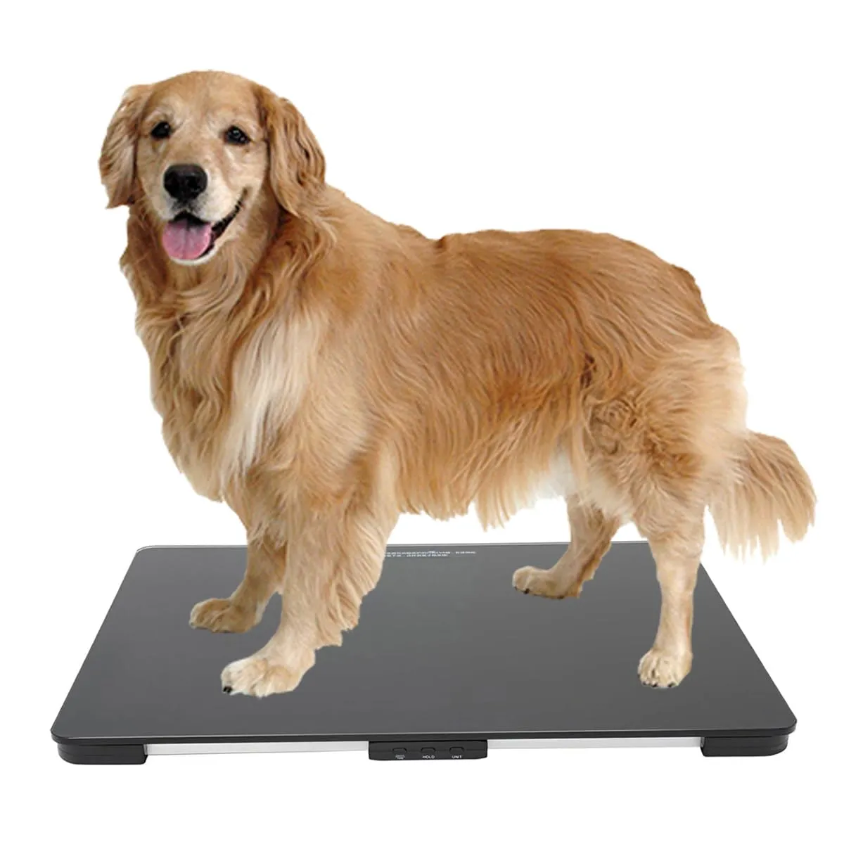Helsevesen Dog Scale, Medium Breed Veterinary Scale (10g) Accuracy, Red LED, 28 x 18 inch Tempered Glass Platform with Anti Slip Sticker, Digital Pet Scales PS-220M