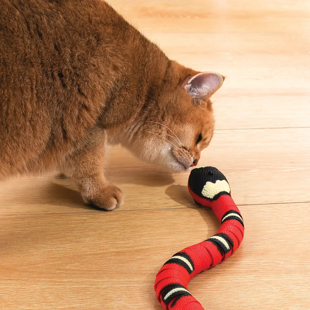 M-PETS Sneaky Snake Cat toy