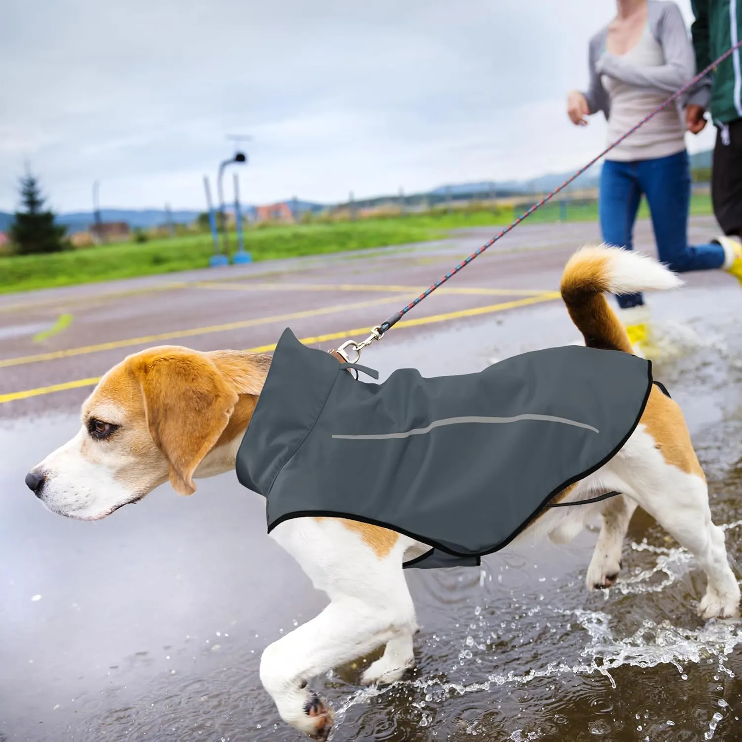 Mile High Life Dog Raincoat, Adjustable Waterproof Reflective Rain Jacket for Small Medium Large Dogs, Lightweight Breathable Pet Rain Coat with Leash Hole(Dark Gray,XS Chest 17-23")