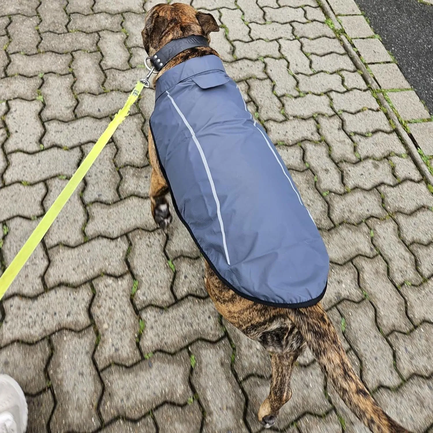 Mile High Life Dog Raincoat, Adjustable Waterproof Reflective Rain Jacket for Small Medium Large Dogs, Lightweight Breathable Pet Rain Coat with Leash Hole(Dark Gray,XS Chest 17-23")