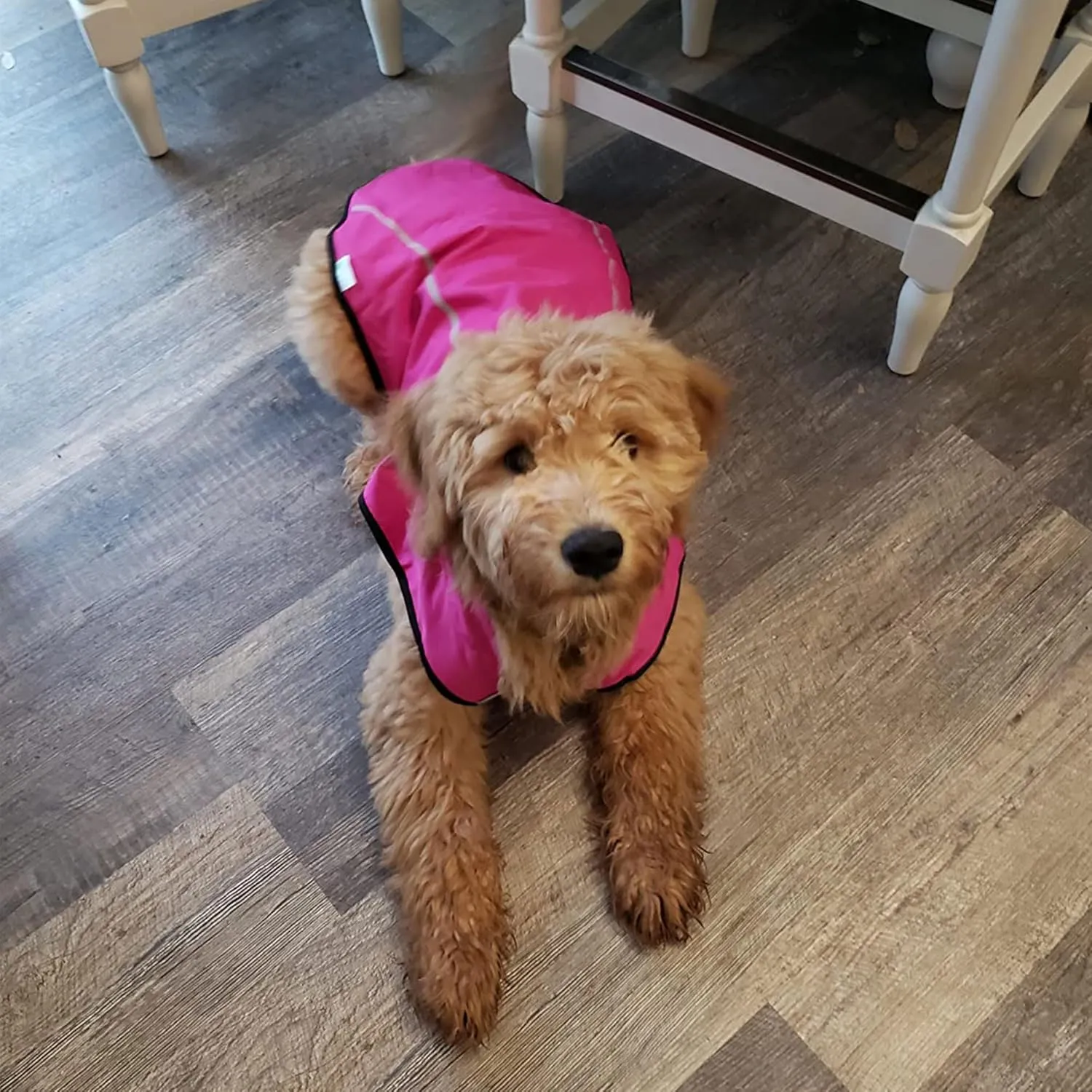 Mile High Life Dog Raincoat, Adjustable Waterproof Reflective Rain Jacket for Small Medium Large Dogs, Lightweight Breathable Pet Rain Coat with Leash Hole(Hot Pink,M Chest 26-32")
