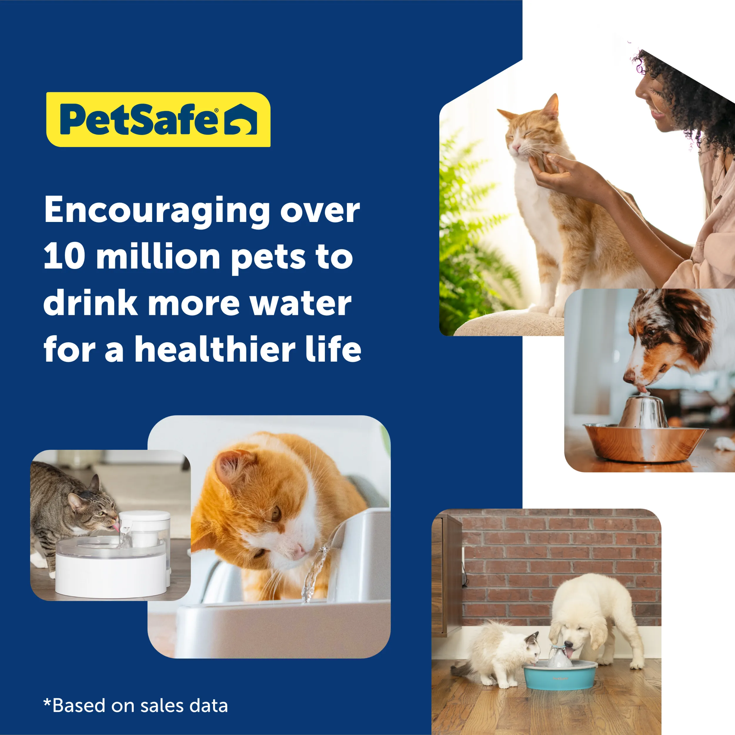 Outlast™ Cat Fountain, 90 oz