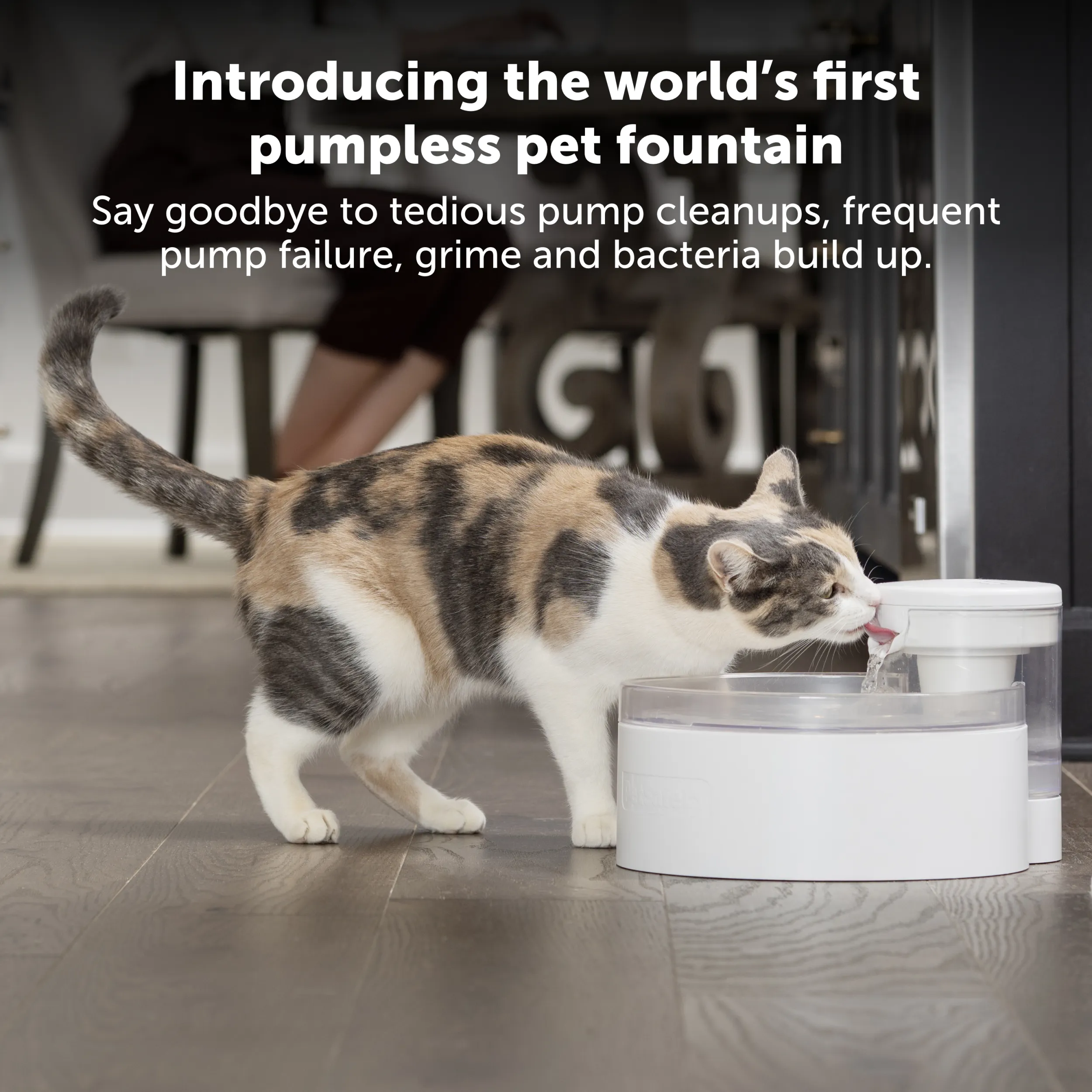 Outlast™ Cat Fountain, 90 oz