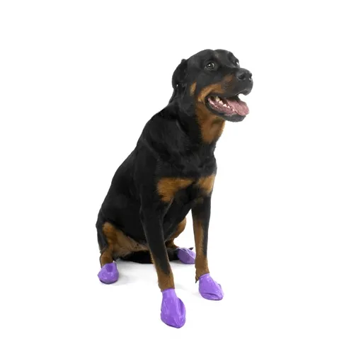 Pawz Dog Boots