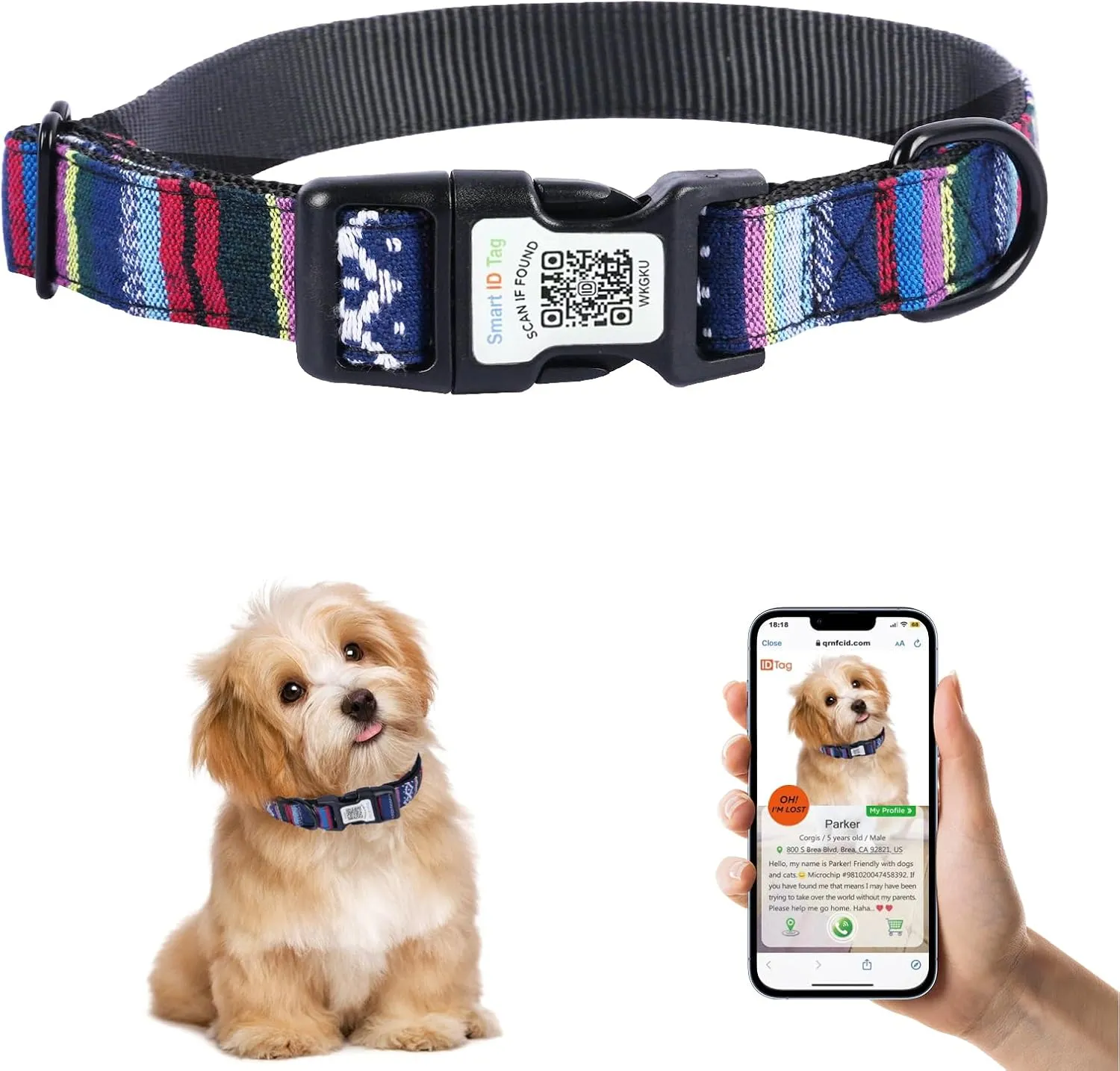 QR Code Dog Collar with ID Tag  Personalized Pet Identification Collar, Anti-Loss Quick Scan Tracking | Adjustable Nylon Strap Fits Small, Medium & Large Dogs (Black, S)