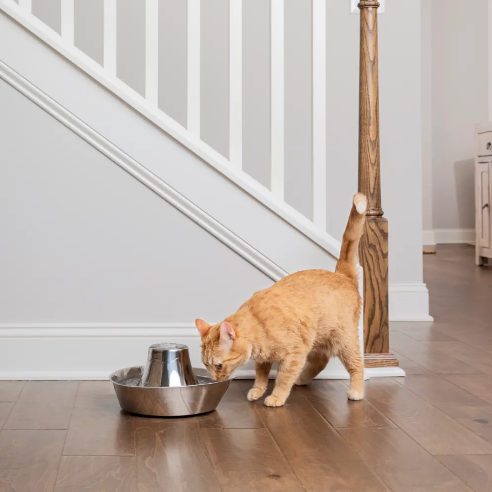 Seaside Stainless Steel Pet Fountain