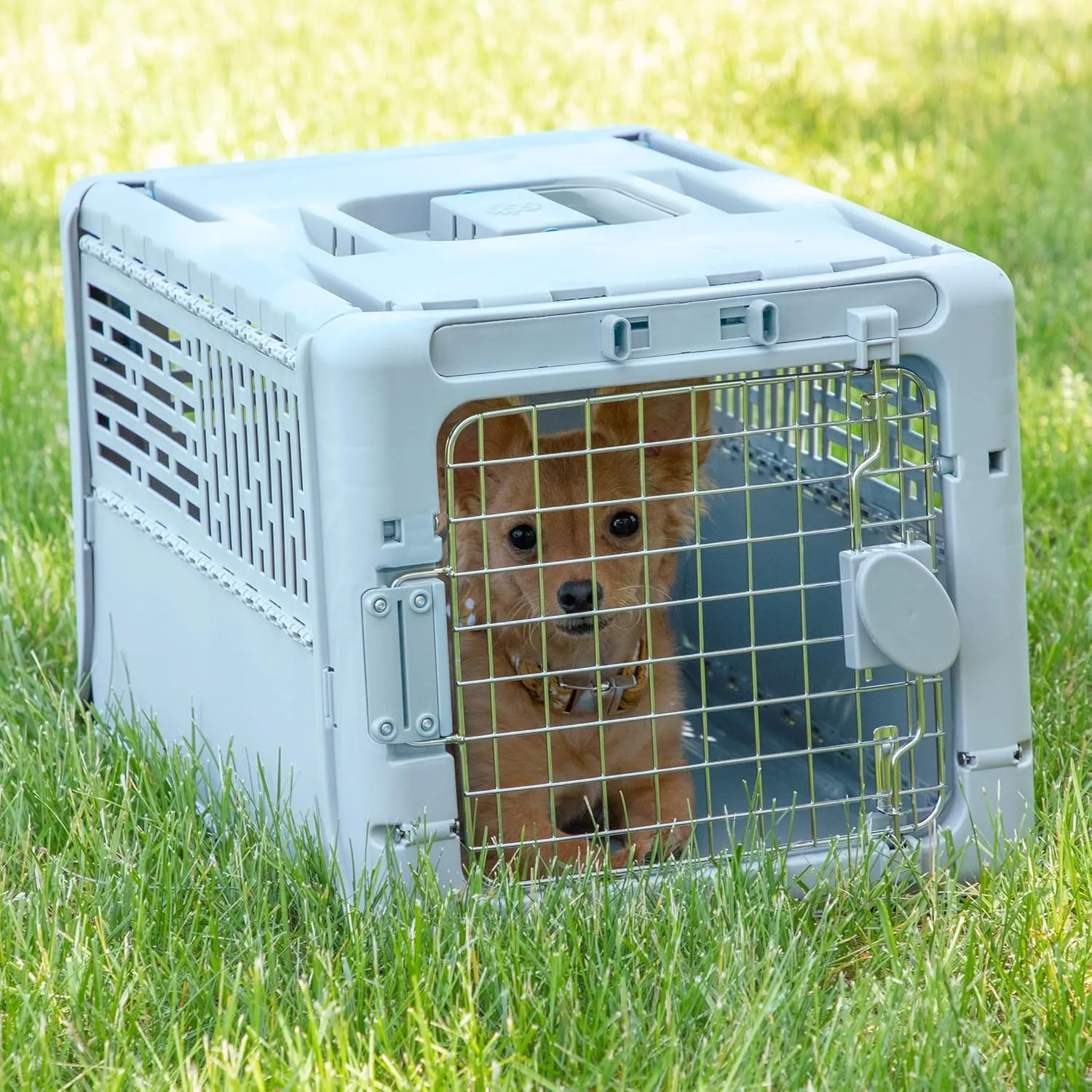 SportPet Designs Collapsible Pet Kennel, 19" X-Small (Blue)