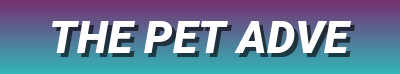 Popular Pet Products & Outdoor Essentials – Fountains, Grooming, Travel Kits & More